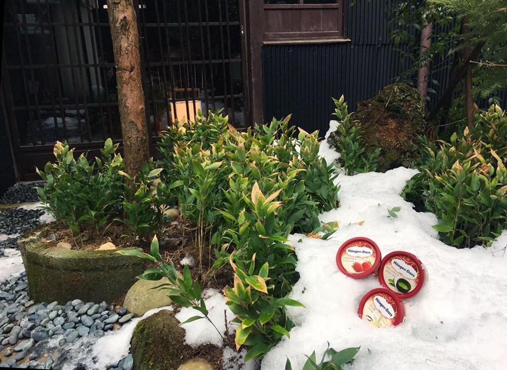 Ichii No Niwa 一棟貸切の古民家宿 櫟の庭 Takayama  Eksteriør bilde